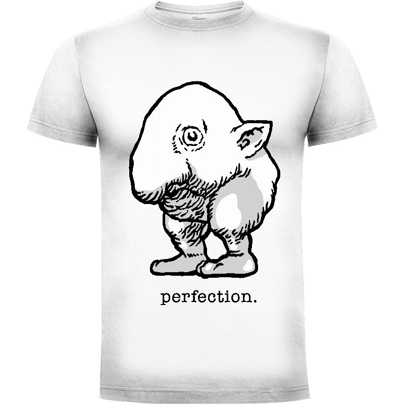 Camiseta Perfection